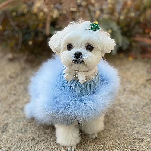 Luxuriöser Hundepullover – warmer Winterpullover mit Feder für kleine bis mittelgroße Hunde, perfekt für Partys und Outdoor, gemütlicher und stilvoller Haustiermantel von Generisch