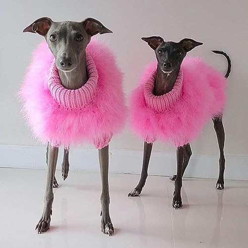Luxuriöser Hundepullover – warmer Winterpullover mit Feder für kleine bis mittelgroße Hunde, perfekt für Partys und Outdoor, gemütlicher und stilvoller Haustiermantel von Generisch