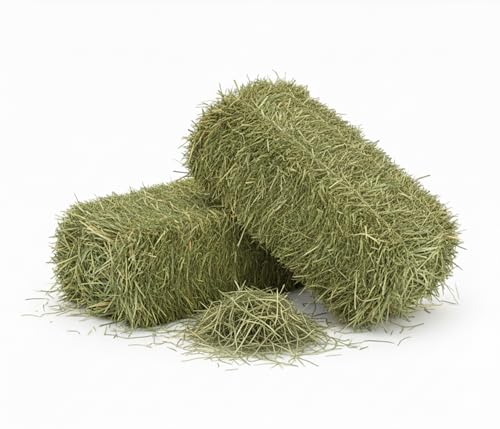 Luzgras (Alfa Alfa) 10 kg | Naturheu Heilgras | reich an Ballaststoffen, Proteinen und Kalzium | Ideal für Pferde, Leporoide, Schafe, Ziegen, Kaninchen, Hamster, kleine Nager | Beste Qualität von Generisch