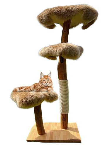 MAU Katzen Kratzbaum, 150 cm Natur Holz - Modell: Bengal mit Liegemulde - nachhaltig, stabil & für ALLE Katzenrassen inkl. Maine Coon (Naturfell Hellbraun) von Generisch