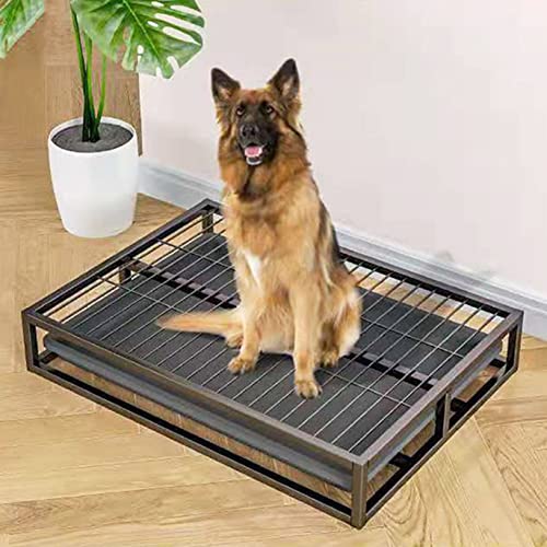 Metall Hundetoilette Töpfchentrainingstablett für drinnen und draußen – Stabile Katzentoilette für Welpenunterlage, ideal für Veranda, Badezimmer, Wohnung, Balkon, Hauseinbruch Metall Hundetoilette Töpfchentrainingstablett für drinnen und draußen – Stabile Katzentoilette für Welpenunterlage, ideal für Veranda, Badezimmer, Wohnung, Balkon, Hauseinbruch von Generisch
