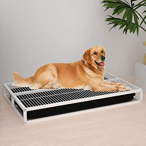 Metall Hundetoilette Töpfchentrainingstablett für drinnen und draußen – Stabile Katzentoilette für Welpenunterlage, ideal für Veranda, Badezimmer, Wohnung, Balkon, Hauseinbruch Metall Hundetoilette Töpfchentrainingstablett für drinnen und draußen – Stabile Katzentoilette für Welpenunterlage, ideal für Veranda, Badezimmer, Wohnung, Balkon, Hauseinbruch von Generisch