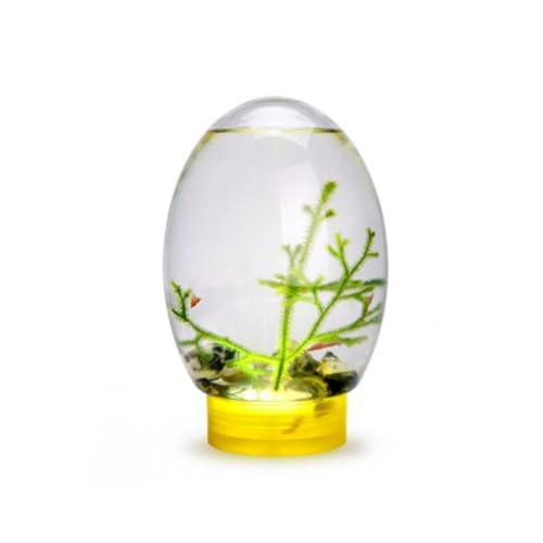 Mini-Fischtank, 17,8 cm, Schreibtisch-Aquarium mit LED-Licht, Aquarium-Schüssel, Aquatic Ecosphere Fisch-Set, häufig, kein Fischfutter von Generisch
