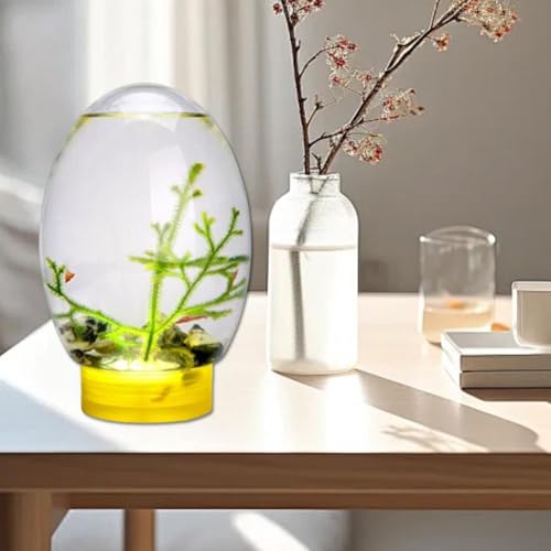 Mini-Fischtank, 17,8 cm, Schreibtisch-Aquarium mit LED-Licht, Aquarium-Schüssel, Aquatische Ökosphäre, Fischbehälter-Set, kein häufiges Futter oder Wasserwechsel, Desktop-Fischschale für Zuhause und von Generisch