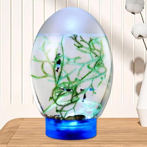 Mini-Fischtank, 17,8 cm, Schreibtisch-Aquarium mit LED-Licht, Aquarium-Schüssel, Aquatische Ökosphäre, Fischbehälter-Set, kein häufiges Futter oder Wasserwechsel, Desktop-Fischschale für Zuhause und Mini-Fischtank, 17,8 cm, Schreibtisch-Aquarium mit LED-Licht, Aquarium-Schüssel, Aquatische Ökosphäre, Fischbehälter-Set, kein häufiges Futter oder Wasserwechsel, Desktop-Fischschale für Zuhause und von Generisch