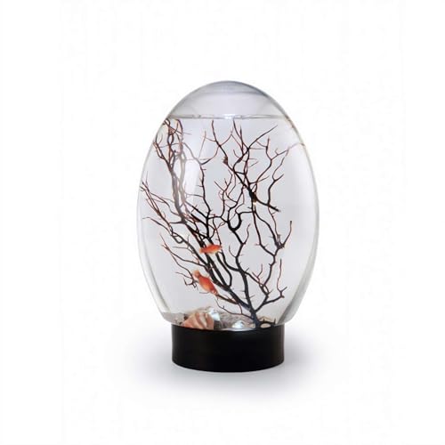 Mini-Fischtank, 17,8 cm, Schreibtisch-Aquarium mit LED-Licht, Aquarium-Schüssel, Aquatische Ökosphäre, Fischbehälter-Set, kein häufiges Futter oder Wasserwechsel, Desktop-Fischschale für Zuhause und von Generisch