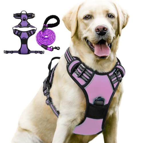 Mit reflektierendenBrustgeschirr,NylonAnti Zieh Hundegeschirr, ZugseilHundegeschirr,Atmungsaktiv Hundegeschirr für,Mehrere Spezifikationen Mit reflektierendenBrustgeschirr,NylonAnti Zieh Hundegeschirr, ZugseilHundegeschirr,Atmungsaktiv Hundegeschirr für,Mehrere Spezifikationen von Generisch