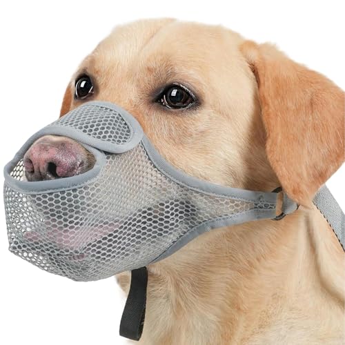 Muzzle for Dog, Breathable Anti-Barking Cover, Soft Adjustable Mesh Guard, Scavenging and Licking Prevention, Comfortable Pet Restraint for Training and Safety Muzzle for Dog, Breathable Anti-Barking Cover, Soft Adjustable Mesh Guard, Scavenging and Licking Prevention, Comfortable Pet Restraint for Training and Safety von Generisch