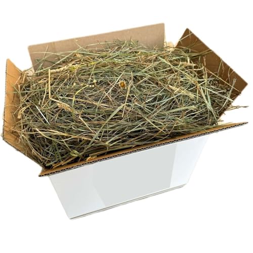 Natürliches Heu für Kaninchen, 20 kg, italienischer Heuballen aus Bergwiesen, sonnengetrocknet, Futter für Meerschweinchen, Chinchillas, Zwergkongilien, Pferde, Hühner und Nager Natürliches Heu für Kaninchen, 20 kg, italienischer Heuballen aus Bergwiesen, sonnengetrocknet, Futter für Meerschweinchen, Chinchillas, Zwergkongilien, Pferde, Hühner und Nager von Generisch