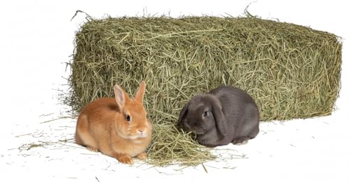Natürliches Heu für Kaninchen 5 kg | Italienischer Heuballen aus sonnengetrockneter Bergwiese | Futter für Meerschweinchen, alle Nager, Pferde, Schafe, Ziegen, Vieh | Hohe Qualität von Generisch