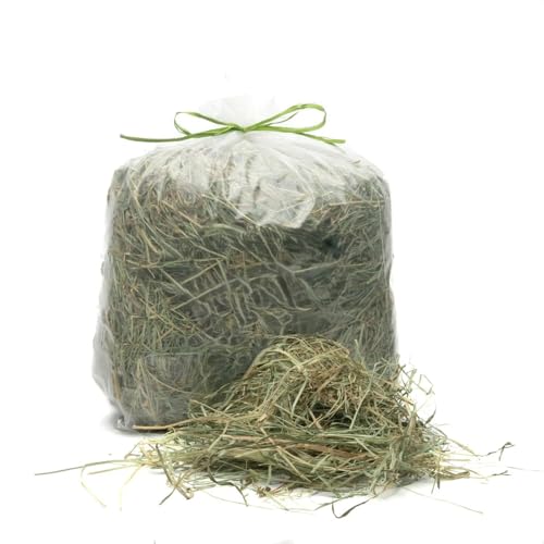 Natürliches Heu für Pferde, Schafe, Ziegen und Vieh 10 kg | Italienischer Bio-Bergwiese | Futter für alle Nager, Kaninchen und Vieh | Hohe Qualität v10 von Generisch