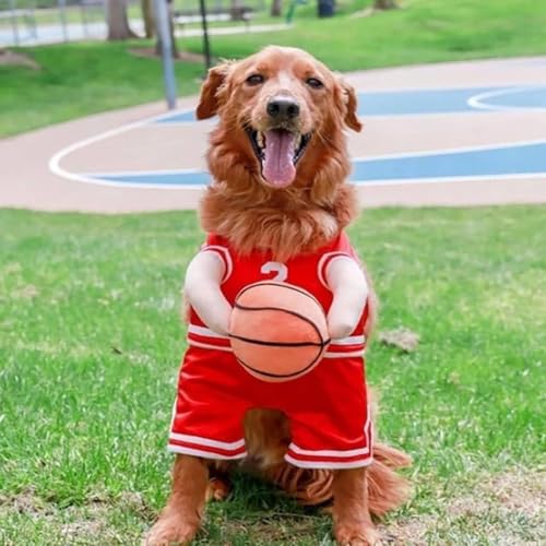 New Trend Hunde-Basketballspieler-Kostüm mit Ball, Halloween, Cosplay, für kleine K9a2 mittelgroße Hunde New Trend Hunde-Basketballspieler-Kostüm mit Ball, Halloween, Cosplay, für kleine K9a2 mittelgroße Hunde von Generisch
