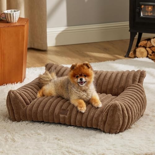 Niedliches Haustier-Sofa, flauschiges Haustier-Sofa mit hochwertiger weicher Cordwolle, gemütliches Katzenbett für Hauskatzen, mit abnehmbarem, waschbarem Bezug, stützender Haustierstuhl für Niedliches Haustier-Sofa, flauschiges Haustier-Sofa mit hochwertiger weicher Cordwolle, gemütliches Katzenbett für Hauskatzen, mit abnehmbarem, waschbarem Bezug, stützender Haustierstuhl für von Generisch