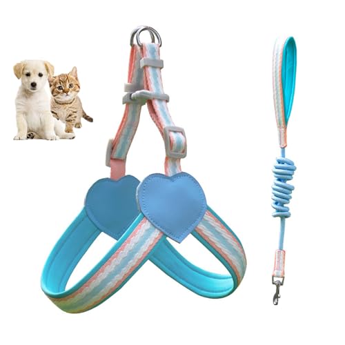 No-Pull Hundegeschirr für Kleine Hunde, Verstellbares Easy Walk Geschirr mit 2 Leinenclips, Ideal für Welpen No-Pull Hundegeschirr für Kleine Hunde, Verstellbares Easy Walk Geschirr mit 2 Leinenclips, Ideal für Welpen von Generisch