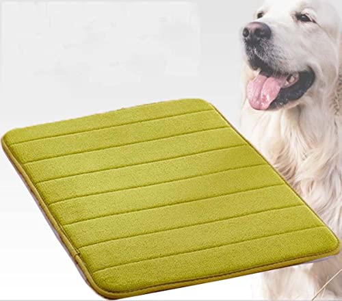 Orthopädische Katzenmatte, 100 x 60 cm, waschbare Hundebox-Matratze, weicher Schaumstoff, Haustierbett mit rutschfester Unterseite, dünne Polsterung, für Hundehütte, bequemes Hundekissen Orthopädische Katzenmatte, 100 x 60 cm, waschbare Hundebox-Matratze, weicher Schaumstoff, Haustierbett mit rutschfester Unterseite, dünne Polsterung, für Hundehütte, bequemes Hundekissen von Generisch