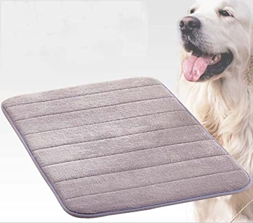 Orthopädische Katzenmatte, 60 x 40 cm, waschbar, Hundebox-Matratze, weicher Schaumstoff, Haustierbett, Hundehütte mit rutschfester Unterseite, dünnes Hundekissen für Komfort und Unterstützung Orthopädische Katzenmatte, 60 x 40 cm, waschbar, Hundebox-Matratze, weicher Schaumstoff, Haustierbett, Hundehütte mit rutschfester Unterseite, dünnes Hundekissen für Komfort und Unterstützung von Generisch