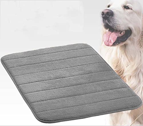 Orthopädische Katzenmatte, 80 x 50 cm, waschbar, Haustierbett für Hunde, weiche Schaumstoff-Matratze mit rutschfester Unterseite, dünnes orthopädisches Hundekissen für Zwinger und Kissenpolsterung Orthopädische Katzenmatte, 80 x 50 cm, waschbar, Haustierbett für Hunde, weiche Schaumstoff-Matratze mit rutschfester Unterseite, dünnes orthopädisches Hundekissen für Zwinger und Kissenpolsterung von Generisch