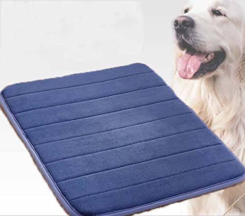 Orthopädische Katzenmatte, 90 x 60 cm, waschbar und rutschfest, mit weicher Schaumstoffpolsterung, Haustierbetten, Hundehütte für Komfort und Unterstützung Orthopädische Katzenmatte, 90 x 60 cm, waschbar und rutschfest, mit weicher Schaumstoffpolsterung, Haustierbetten, Hundehütte für Komfort und Unterstützung von Generisch