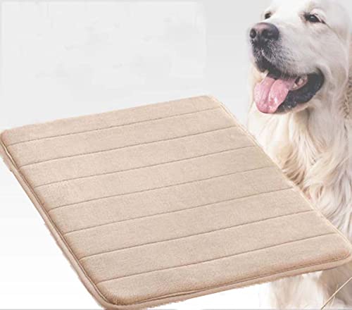 Orthopädische Katzenmatte, 90 x 60 cm, waschbare Hundebox-Matratze mit weichem, dünnem Schaumstoff, Haustierbetten, Hundehütte, rutschfeste Polsterung, bequem und langlebig Orthopädische Katzenmatte, 90 x 60 cm, waschbare Hundebox-Matratze mit weichem, dünnem Schaumstoff, Haustierbetten, Hundehütte, rutschfeste Polsterung, bequem und langlebig von Generisch