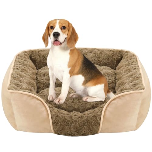 Orthopädisches Hundebett, abnehmbares Haustierbett, weiches Sofa, Sofa mit abnehmbarem, waschbarem Bezug, rutschfeste Unterseite, extra Kopf- und Nackenstütze, bequem für erholsamen Gebrauch zu Hause Orthopädisches Hundebett, abnehmbares Haustierbett, weiches Sofa, Sofa mit abnehmbarem, waschbarem Bezug, rutschfeste Unterseite, extra Kopf- und Nackenstütze, bequem für erholsamen Gebrauch zu Hause von Generisch