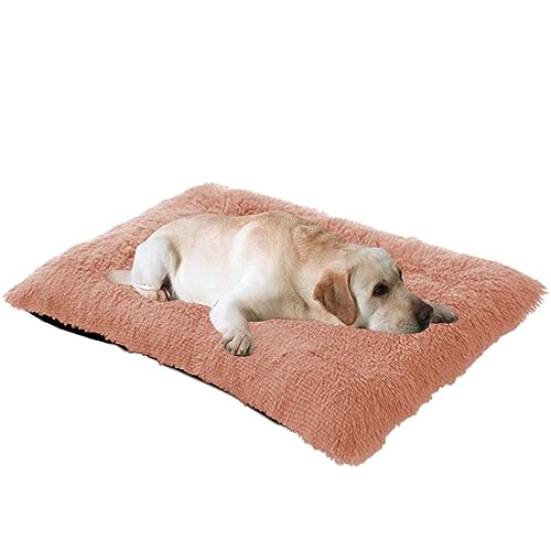 Orthopädisches großes Hundebett mit Anti-Angst-Hundekissen – bequemes Haustierkissen für Hunde und Katzen – rutschfeste Unterseite – inklusive Hundehütte und Decke Orthopädisches großes Hundebett mit Anti-Angst-Hundekissen – bequemes Haustierkissen für Hunde und Katzen – rutschfeste Unterseite – inklusive Hundehütte und Decke von Generisch