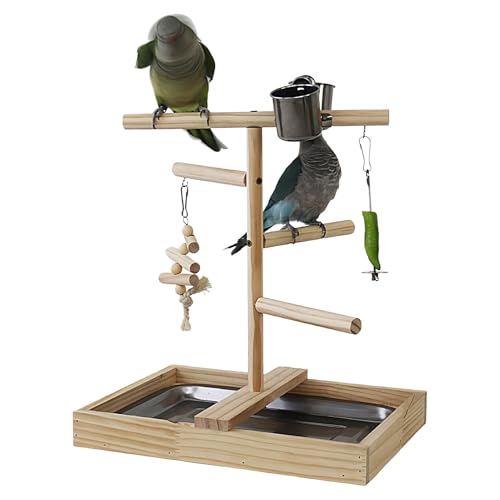 Papageien-Sitzstangenständer – Vogelständer-Tischplatte | Vogelständer Für Den Innen- Und Außenbereich Für Kleine Bis Mittelgroße Vögel | Vogeltrainings-Sitzstangenständer, Vogelspielplatz-Trainingsst Papageien-Sitzstangenständer – Vogelständer-Tischplatte | Vogelständer Für Den Innen- Und Außenbereich Für Kleine Bis Mittelgroße Vögel | Vogeltrainings-Sitzstangenständer, Vogelspielplatz-Trainingsst von Generisch