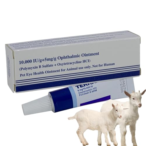 Pet Eye Ointment - Kätzchen Gesundheits Salbe 10ml | Hundesalbe Bei Rötungen Reizungen Juckreiz Tierarzt Haus Reise Für Anfänger Pet Eye Ointment - Kätzchen Gesundheits Salbe 10ml | Hundesalbe Bei Rötungen Reizungen Juckreiz Tierarzt Haus Reise Für Anfänger von Generisch