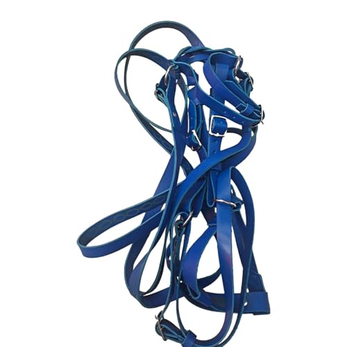 Pferdehalter |Strapazierfähiges, verstellbares Halfter mit - und Halsverschluss | Farbenfrohes, bequemes, universell gepolstertes Nylon-Pferdehalfter für die Pferdepflege im Reittraining Pferdehalter |Strapazierfähiges, verstellbares Halfter mit - und Halsverschluss | Farbenfrohes, bequemes, universell gepolstertes Nylon-Pferdehalfter für die Pferdepflege im Reittraining von Generisch