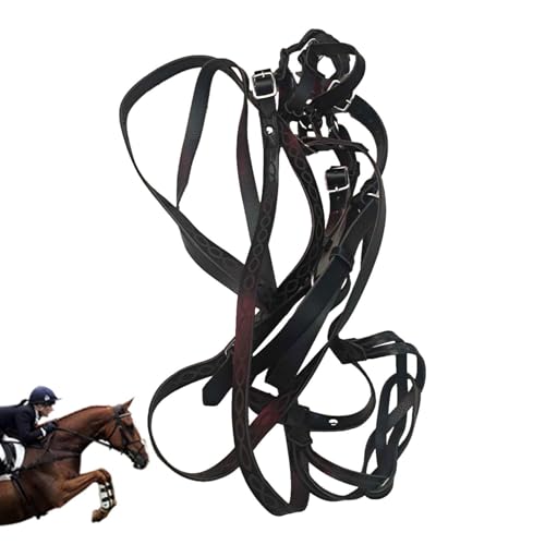 Pferdehalter | Strapazierfähiges, verstellbares Halfter mit - und Halsverschluss -Farbenfrohes, bequemes, universell gepolstertes Nylon-Pferdehalfter für die Pferdepflege im Reittraining Pferdehalter | Strapazierfähiges, verstellbares Halfter mit - und Halsverschluss -Farbenfrohes, bequemes, universell gepolstertes Nylon-Pferdehalfter für die Pferdepflege im Reittraining von Generisch