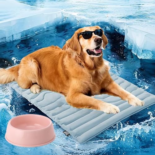 Pfotenchill Kühlmatte Hund, Pfotenchill-Die Innovative Kühlmatte für Hunde, Kühldecke Aus Kühlgewebe Wendbar, Maschinenwaschbar, Selbstkühlende Pads Sicher und Komfortabel für Deinen Hund (Blau, M) Pfotenchill Kühlmatte Hund, Pfotenchill-Die Innovative Kühlmatte für Hunde, Kühldecke Aus Kühlgewebe Wendbar, Maschinenwaschbar, Selbstkühlende Pads Sicher und Komfortabel für Deinen Hund (Blau, M) von Generisch