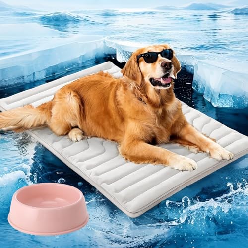 Pfotenchill Kühlmatte Hund, Pfotenchill-Die Innovative Kühlmatte für Hunde, Kühldecke Aus Kühlgewebe Wendbar, Maschinenwaschbar, Selbstkühlende Pads Sicher und Komfortabel für Deinen Hund (Grau, XL) Pfotenchill Kühlmatte Hund, Pfotenchill-Die Innovative Kühlmatte für Hunde, Kühldecke Aus Kühlgewebe Wendbar, Maschinenwaschbar, Selbstkühlende Pads Sicher und Komfortabel für Deinen Hund (Grau, XL) von Generisch