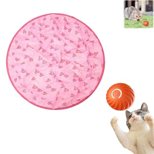 Pfotenjagd Katzenspielzeug, Simuliertes Interaktives Katzenball Gitarre Katzenspielzeug, 2 In 1 Interaktives Jagdspielzeug für Katzen, mit Selbstrollender Ball Interaktives Katzenspielzeug (#D) von Generisch
