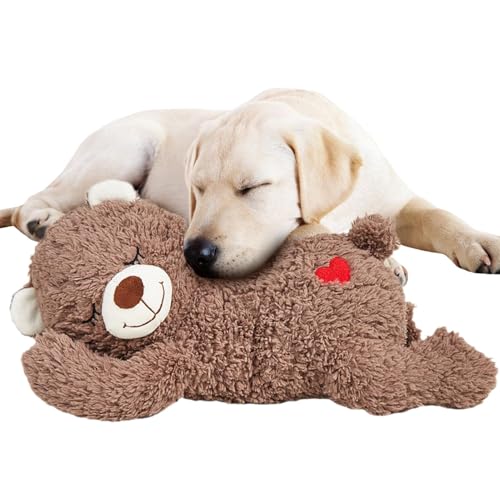 Pfotenmond Cuddly Bear Hundespielzeug, SnugglePuppy Heartbeat Plüschtier, Weiches Sensorisches Plüschtier Haustier Spielzeug, Interaktives Herzschlag Kuscheltier, Haustier Komfort Spielzeug Pfotenmond Cuddly Bear Hundespielzeug, SnugglePuppy Heartbeat Plüschtier, Weiches Sensorisches Plüschtier Haustier Spielzeug, Interaktives Herzschlag Kuscheltier, Haustier Komfort Spielzeug von Generisch