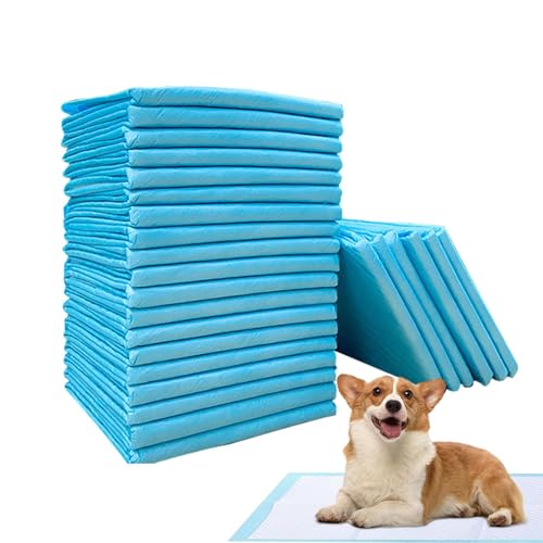 Pipi-Pads für Hunde,Hunde-Pipi-Pads - Töpfchentrainingsmatte für Hunde - Pinkel-Pads für das Training von Welpen, schnell trocknend, keine auslaufenden Pinkel-Pads, Hunde-Trainingspads für Hunde, Katz Pipi-Pads für Hunde,Hunde-Pipi-Pads - Töpfchentrainingsmatte für Hunde - Pinkel-Pads für das Training von Welpen, schnell trocknend, keine auslaufenden Pinkel-Pads, Hunde-Trainingspads für Hunde, Katz von Generisch