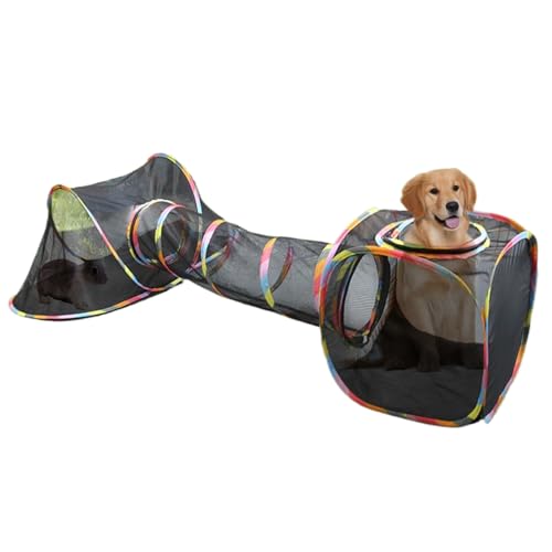 Ploypen für Katzen im Freien – Tunnel-Set für Katzen aus Netzstoff | Mesh Tunnel für Haustiere | Faltbare Kätzchen Fun Playground | Cage CAGHE CLEPPEN CREaccia per GIO von Generisch