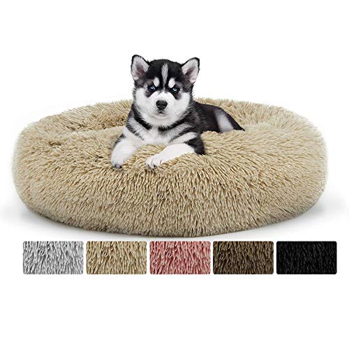 Plüsch-Katzenbett in Donut-Form, beruhigendes Haustierbett für große Hunde und Katzen, gemütliches Kuschelnest, Sofa, rundes Korbbett mit rutschfester Unterseite, waschbar, Khaki, Ø 100 cm Plüsch-Katzenbett in Donut-Form, beruhigendes Haustierbett für große Hunde und Katzen, gemütliches Kuschelnest, Sofa, rundes Korbbett mit rutschfester Unterseite, waschbar, Khaki, Ø 100 cm von Generisch