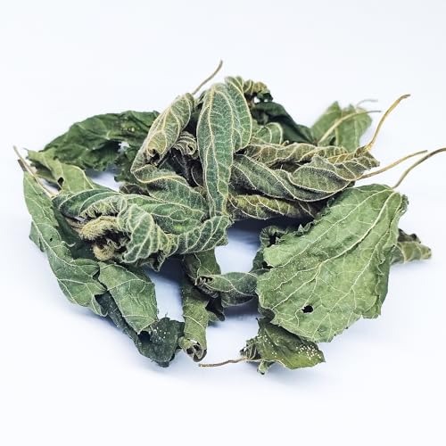 Premium Brennnesselblätter ganz 10g - Brennessel Laub für Aquarium & Terrarium > Garnelen, Schnecken, Krebse, Welse | 3 in 1 = Futter, Versteck & Wasseraufbereitung Premium Brennnesselblätter ganz 10g - Brennessel Laub für Aquarium & Terrarium > Garnelen, Schnecken, Krebse, Welse | 3 in 1 = Futter, Versteck & Wasseraufbereitung von Generisch