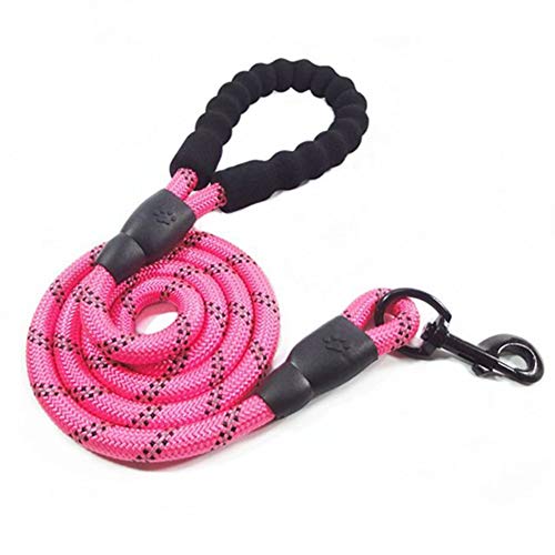 Premium Dog Lead - Strong Shock Absorbing 1.5m Training Lead with Padded Handle & Reflective Stitching for Night Safety - Suitable for All Dog Sizes von Generisch