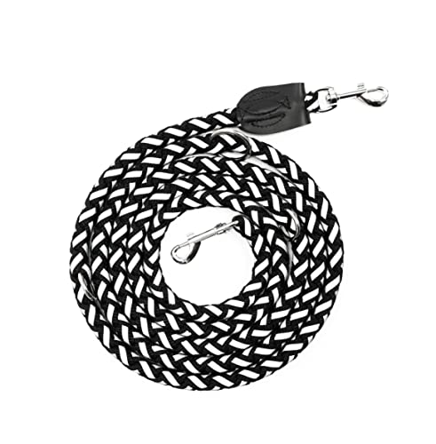 Generisch Premium Hundeleine, reflektierend, geflochten, multifunktionale Doppelleine, 2,5 m lang, 15 mm Durchmesser, für kleine/mittlere/große Hunde, extra reißfest, aus Nylon Generisch Premium Hundeleine, reflektierend, geflochten, multifunktionale Doppelleine, 2,5 m lang, 15 mm Durchmesser, für kleine/mittlere/große Hunde, extra reißfest, aus Nylon von Generisch