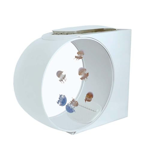 Quallen-Aquarium mit LED-Lichtern, 10 l Fassungsvermögen, 9 Farbmodi, ultra-leise USB-Pumpe, für Mondquallen, Betta-Fische, Schreibtisch, Büro, Heimdekoration (Weiß, 35 x 31 x 12 cm) von Generisch