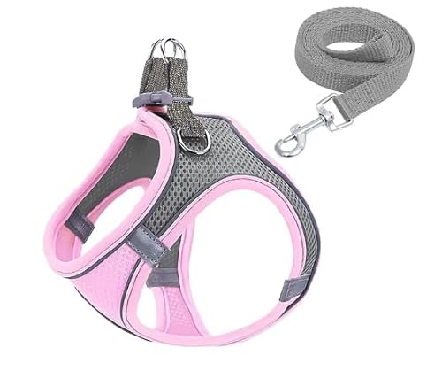 Reflektierendes Hundegeschirr mit Leine, Verstellbar für Welpen und Kleine Hunde, Luftdurchlässig, Pink, XS Reflektierendes Hundegeschirr mit Leine, Verstellbar für Welpen und Kleine Hunde, Luftdurchlässig, Pink, XS von Generisch