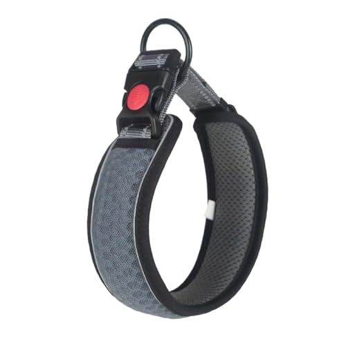 Reflektierendes Hundehalsband und Leine, verstellbar, Nylon, für kleine, mittelgroße und große Hunde, sicheres D-Typ-Design (Grau, 28–30 cm) von Generisch