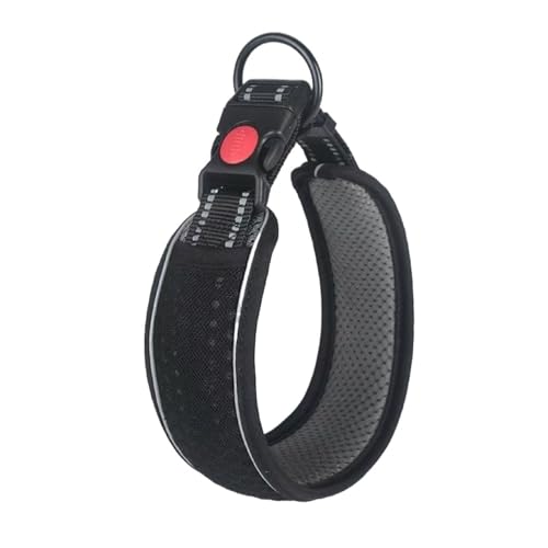 Reflektierendes Hundehalsband und Leine, verstellbar, Nylon, für kleine, mittelgroße und große Hunde, sicheres D-Typ-Design (Schwarz, 30–38 cm) von Generisch