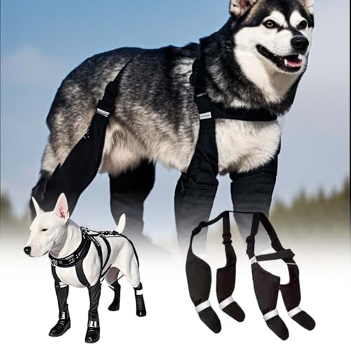 Regenstiefel für Hunde, wasserdichte Hundeschuhe mit Hosenträgern, rutschfeste Hundeschuhe, reflektierende Hundestiefel & Pfotenschutz für mittelgroße und große Hunde, Hundeschuhe zum Wandern, Regenstiefel für Hunde, wasserdichte Hundeschuhe mit Hosenträgern, rutschfeste Hundeschuhe, reflektierende Hundestiefel & Pfotenschutz für mittelgroße und große Hunde, Hundeschuhe zum Wandern, von Mcties