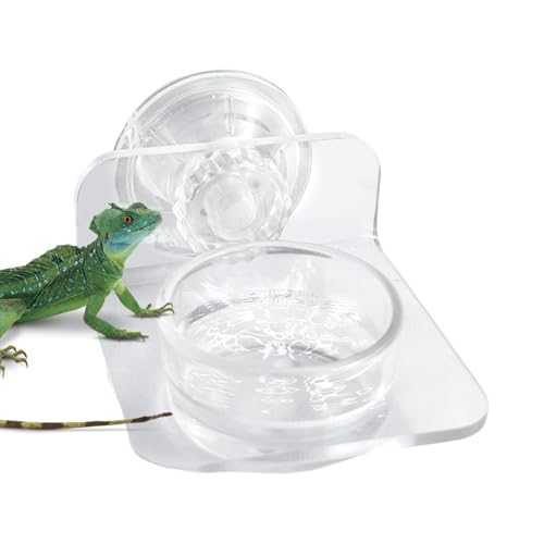 Reptile Food Feeder Bowl Saugnapf Wasser Platzsparende Futterschale Easy Mount Acryl Tablett für Geckos Schlangen Chamäleons Baumfrösche Stabil Transparent von Generisch