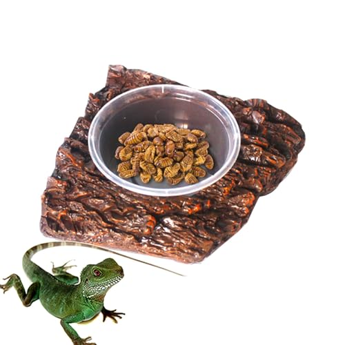 Generisch Reptile Water Dish, Resin Terrarium Bowls, Frog Water Dish with Rock Design, Pet Ornament Food and Water Storage Basin for Bearded Dragon, Tortoise, Lizard, Hermit Crab, and Frog von Generisch