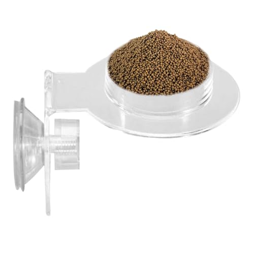 Reptilien-Futternapf – Eidechsen-Futternapf | Gecko-Wasserschale | flache, kippsichere Schale für Terrarien und Vivarien | glatt für einfache Reinigung | langlebig für den täglichen Gebrauch Reptilien-Futternapf – Eidechsen-Futternapf | Gecko-Wasserschale | flache, kippsichere Schale für Terrarien und Vivarien | glatt für einfache Reinigung | langlebig für den täglichen Gebrauch von Generisch