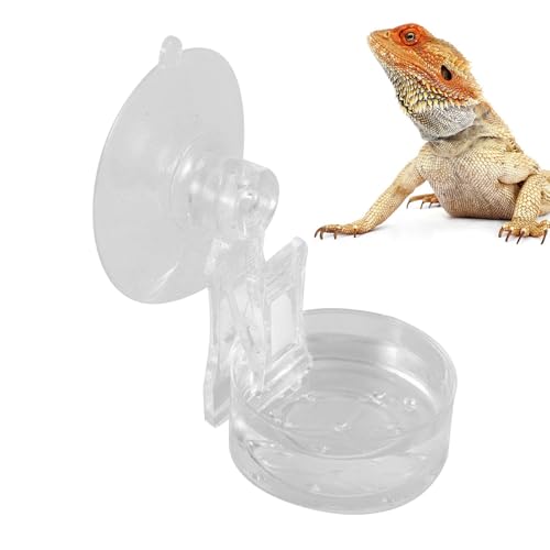 Reptilien-Futternapf | Reptilien Futternapf mit Saugnapf,Praktische Haustier-Schale Mit Leichter Reinigung Für Balkon, Wohnzimmer Und Garten Reptilien-Futternapf | Reptilien Futternapf mit Saugnapf,Praktische Haustier-Schale Mit Leichter Reinigung Für Balkon, Wohnzimmer Und Garten von Generisch
