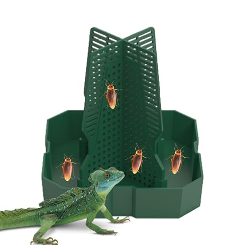 Reptilien-Futterschale – Reptilien-Futter-Wasserplatte | Chamäleon-Futternapf | Futternapf für Chamäleon | gegenseitiges Einsetzen von Beuteschale, Gecko Haustiernapf, Futternäpfe für Reptilien-Futterschale – Reptilien-Futter-Wasserplatte | Chamäleon-Futternapf | Futternapf für Chamäleon | gegenseitiges Einsetzen von Beuteschale, Gecko Haustiernapf, Futternäpfe für von Generisch
