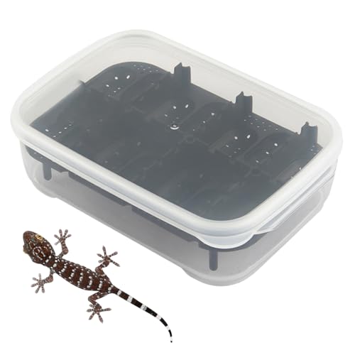 Reptilien Inkubator - 14-Compartment Schlangen Terrarium | Transparentes Design Reptilien Inkubator | Plastik Reptil Tank Für Reptilien, Spinnen Und Skorpione Reptilien Inkubator - 14-Compartment Schlangen Terrarium | Transparentes Design Reptilien Inkubator | Plastik Reptil Tank Für Reptilien, Spinnen Und Skorpione von Generisch